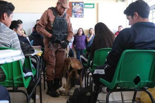 Aprueba Congreso mexiquense operativo mochila segura en escuelas